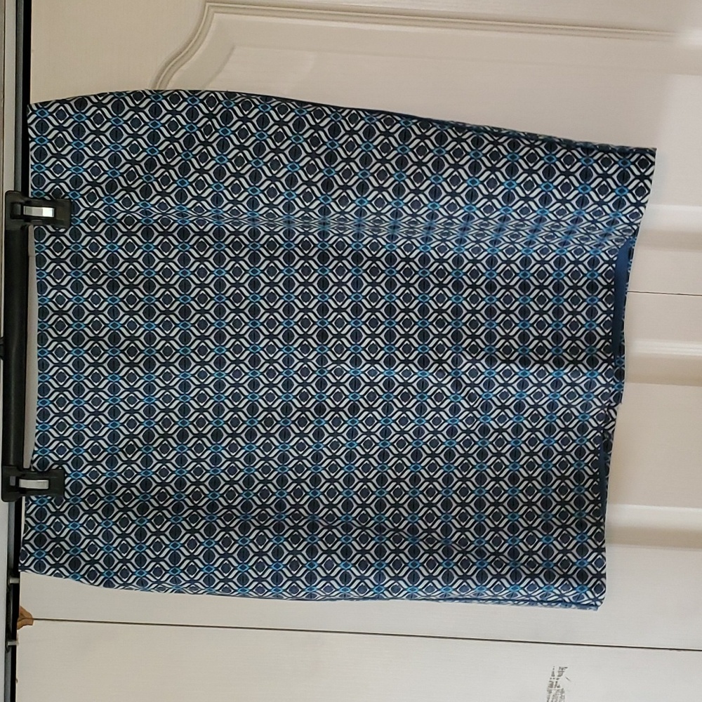 Adrianna Papell Skirt